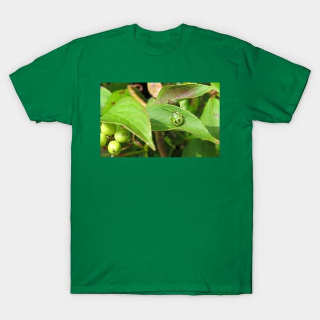 Stink Bug Green No.1 T-Shirt by MaryLinH